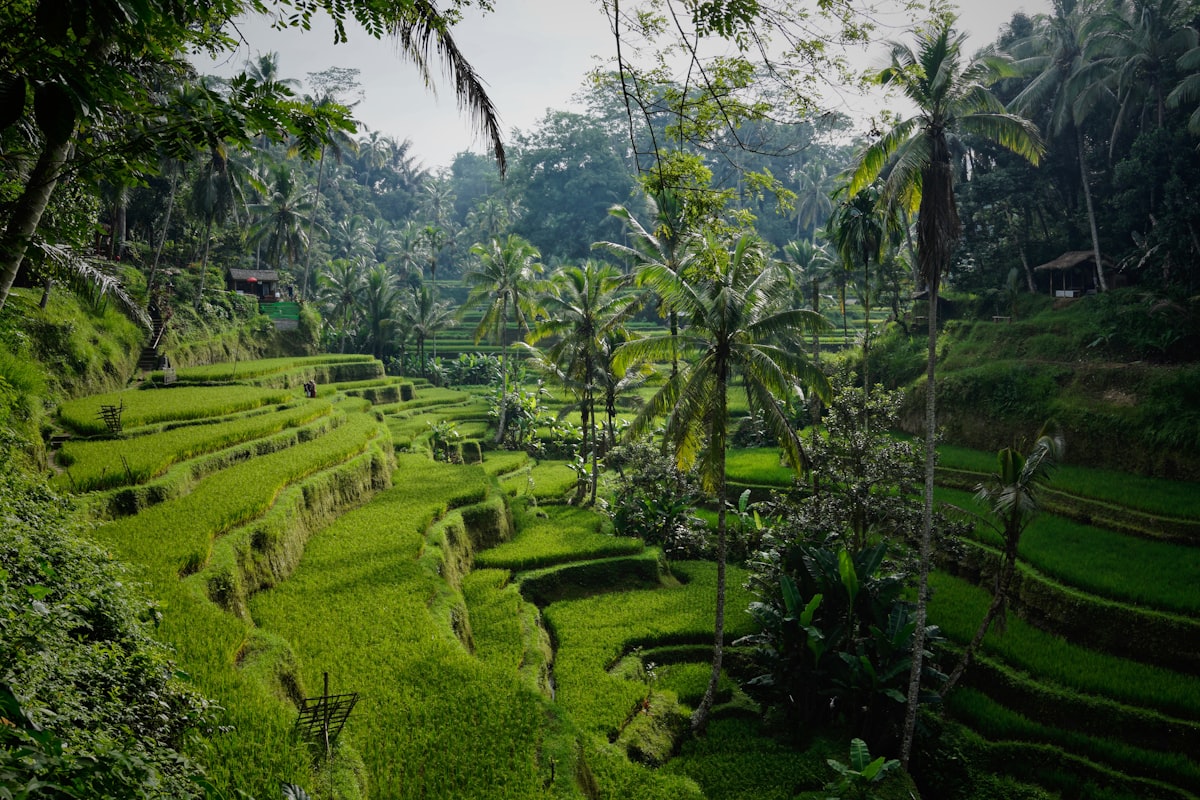 Pura Tampak Siring